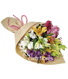 flores astromelia e flores do campo | CWB Flores