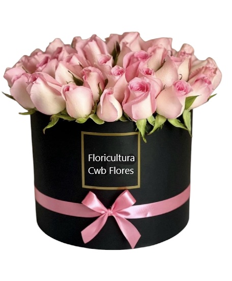 Flores para presente