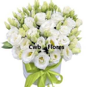 Flores do campo