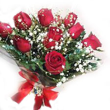 Rosas Vermelhas Curitiba