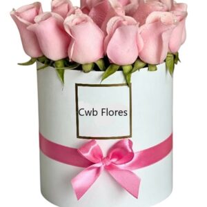 Rosas cor de rosa