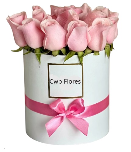 Rosas cor de rosa