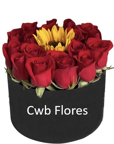Rosas e girassol