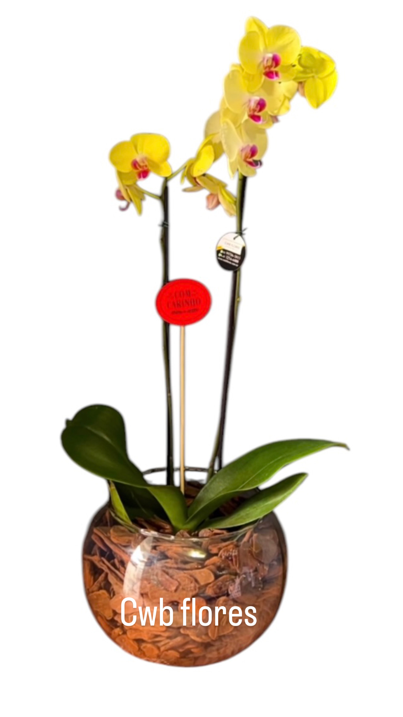 Flores para presente