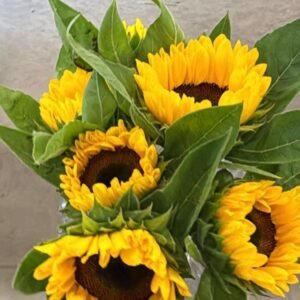 8755718d-5e61-4642-82a3-0eb4d5dd28b0