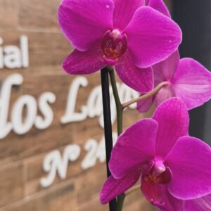 e83e114d-9397-49b0-9090-dceabe162bfa