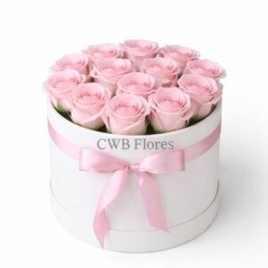 Box de Rosas Cor-de-Rosa Elegance